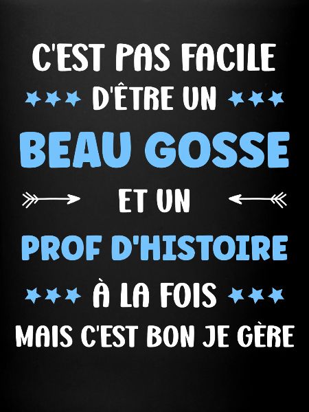 prof histoire