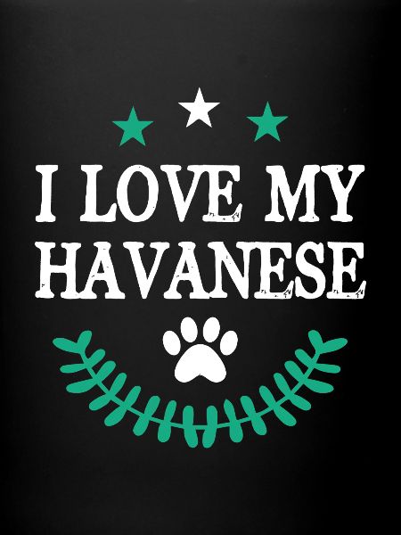 Havaneser