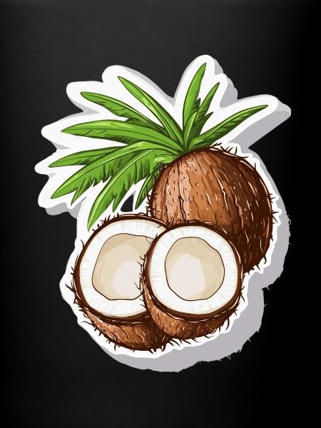 Coconut