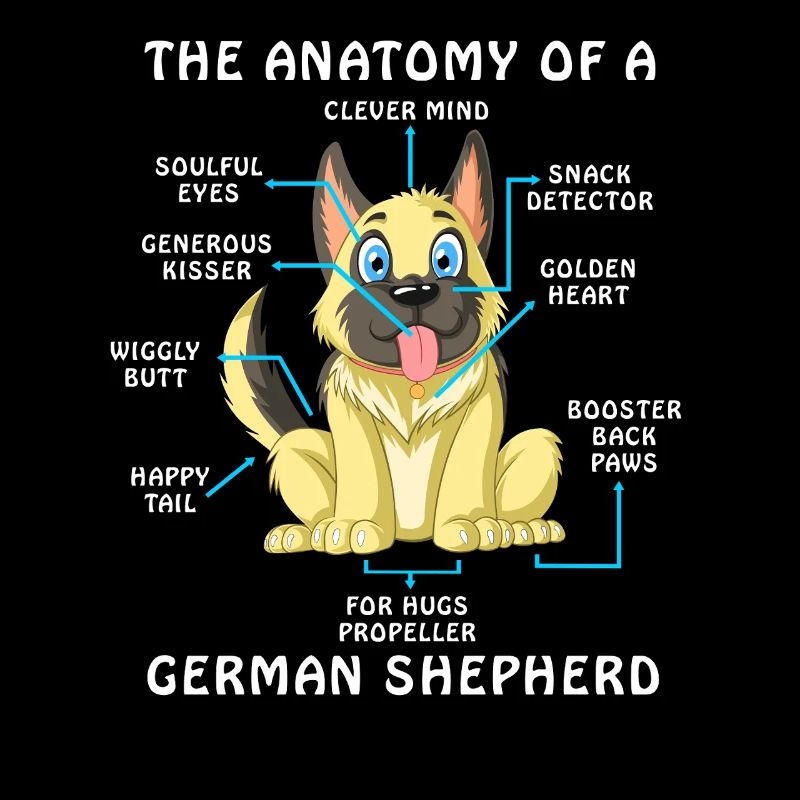 Anatomie eines Deutschen Schäferhundes