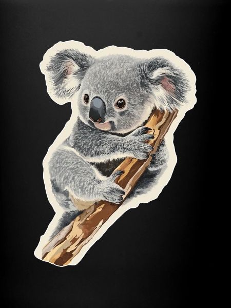 Koala
