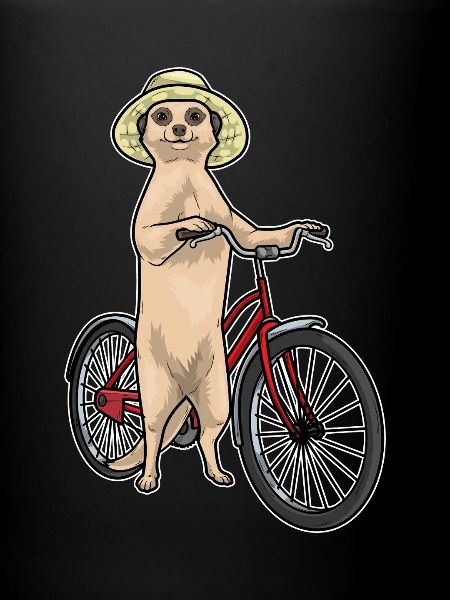 Vélo Meerkat