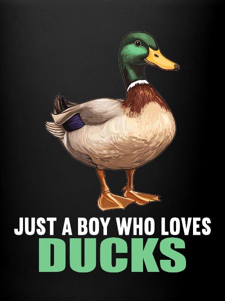 Ducks Duck