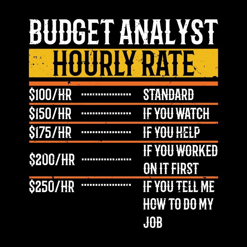 Budget Analyst Hourly Rate Funny Budget Director