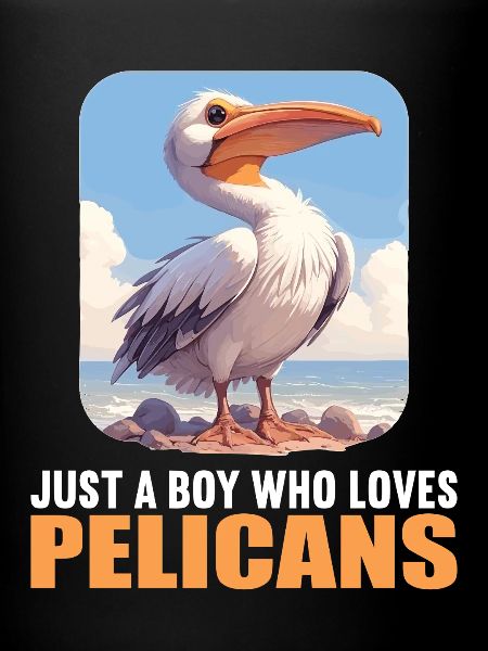 Pélicans Pélican
