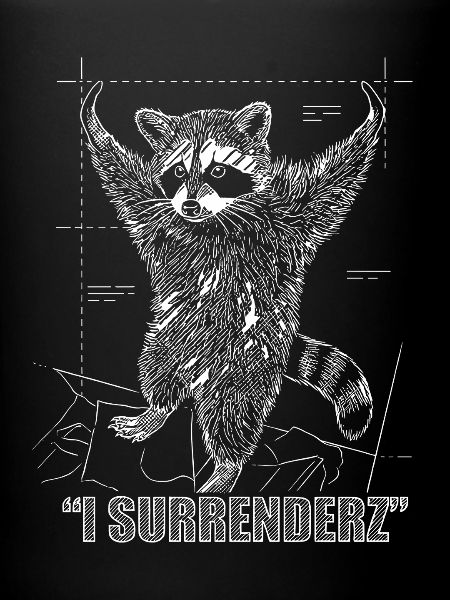 Waschbär Meme