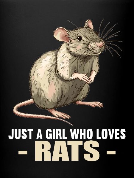 Rat Rat