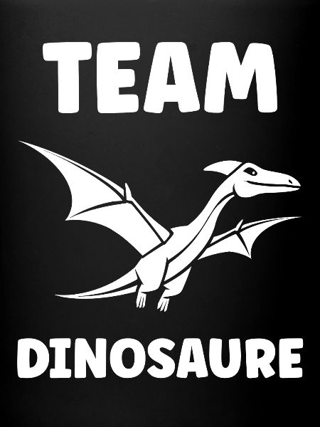 Flying Dinosaur Team