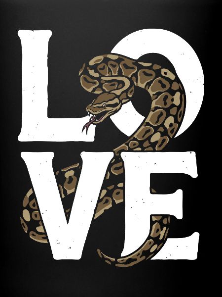 Königspython Schlangen LOVE Terrarium Python