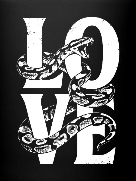 Königspython Schlangen LOVE Terrarium Python
