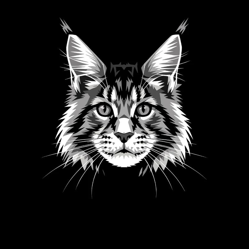 Maine Coon Chat Chat Maman Chat Maine Coon Chats
