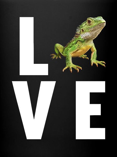 Lizards Lizard
