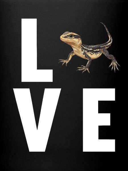 Lizards Lizard