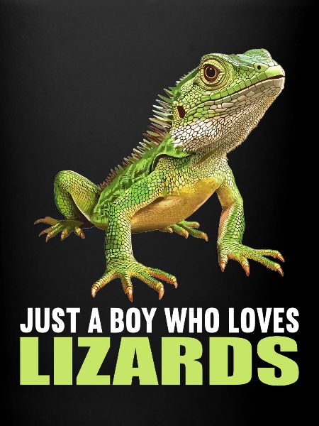 Lizards Lizard