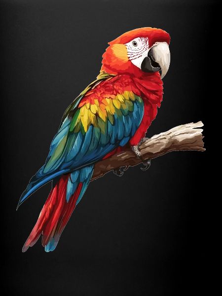Macaw's Era