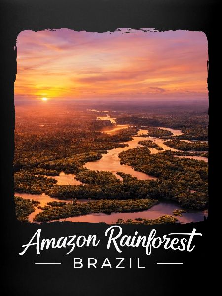 Rainforest Sunset Brazil