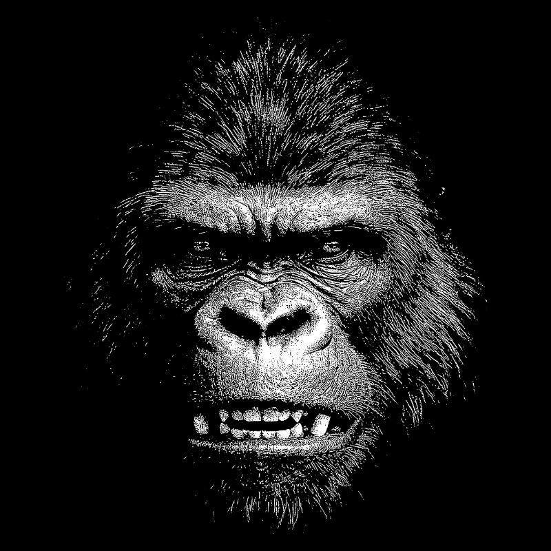 Gorilla