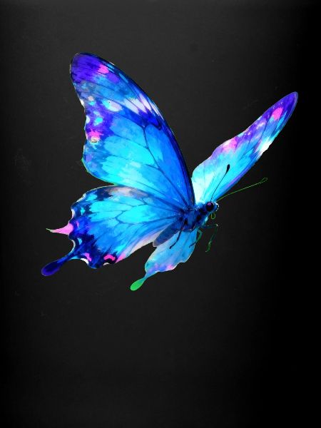 Papillon aquarelle bleu