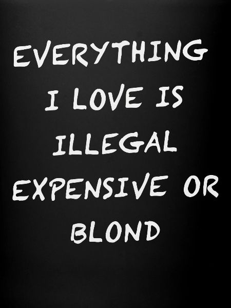 Everything I Love Is Illegal