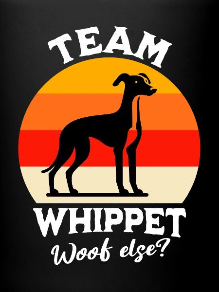 Équipe Greyhound