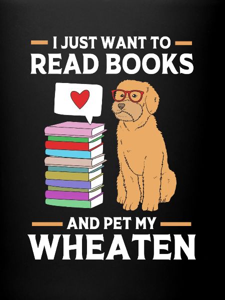 Wheaten Terrier Chien