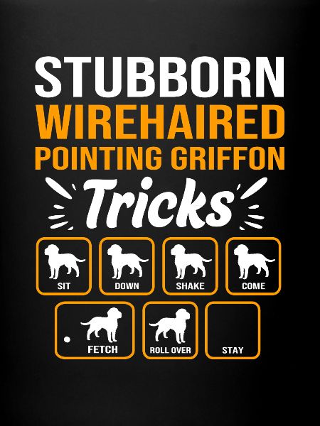 Griffon