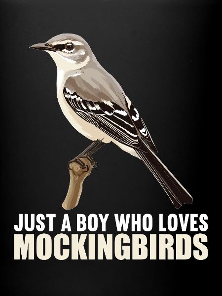 Oiseaux moqueurs Oiseaux moqueurs