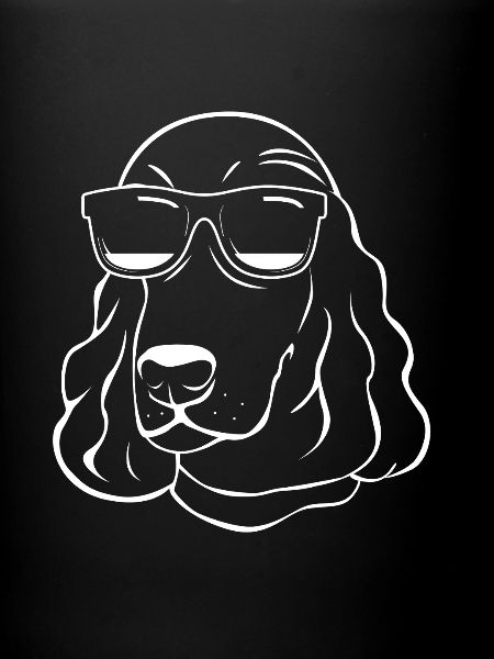 Cocker Spaniel