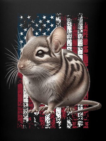 Degu US Degu