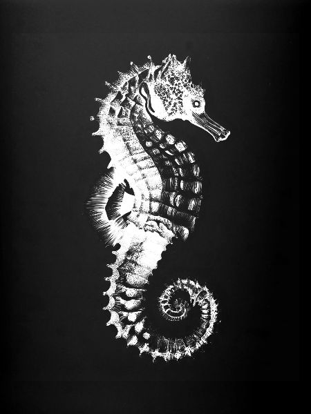 Seahorse Spiral Pattern