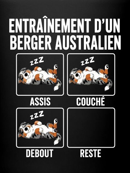 Chien Entraînement Berger Australien