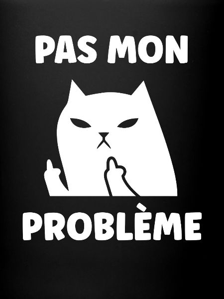 Chat insolent pas mon problème