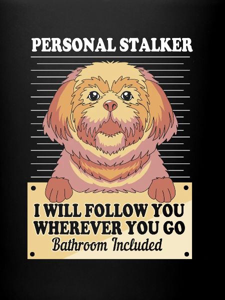 Shih Tzu