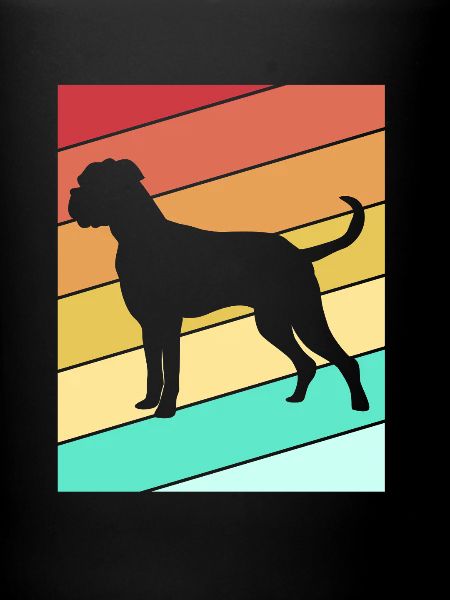 Boxer Hund