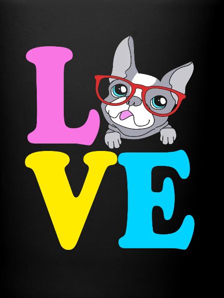Boston Terrier