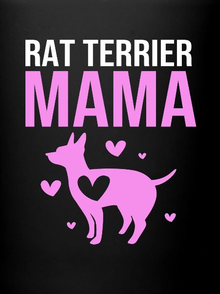 Rat Terrier