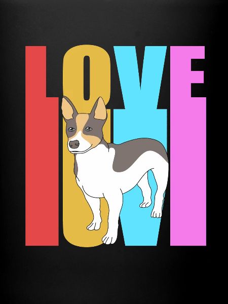 Rat Terrier
