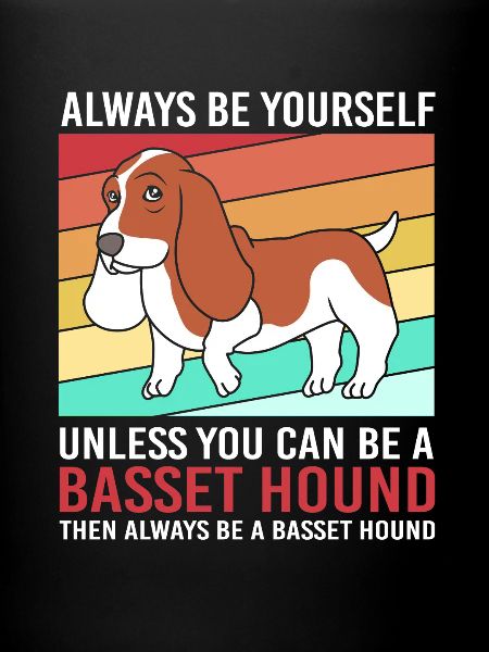 Basset Hound