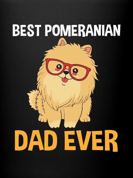 Zwergspitz Pomeranian Papa