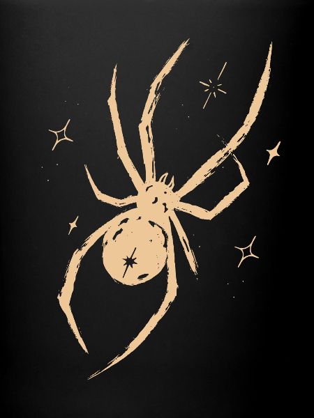 Spinne Celestial Natur