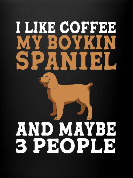 Boykin Spaniel
