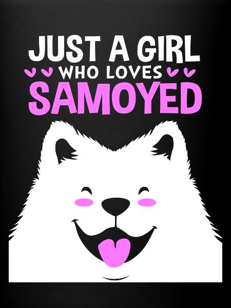 Samojede Hund Samoyed