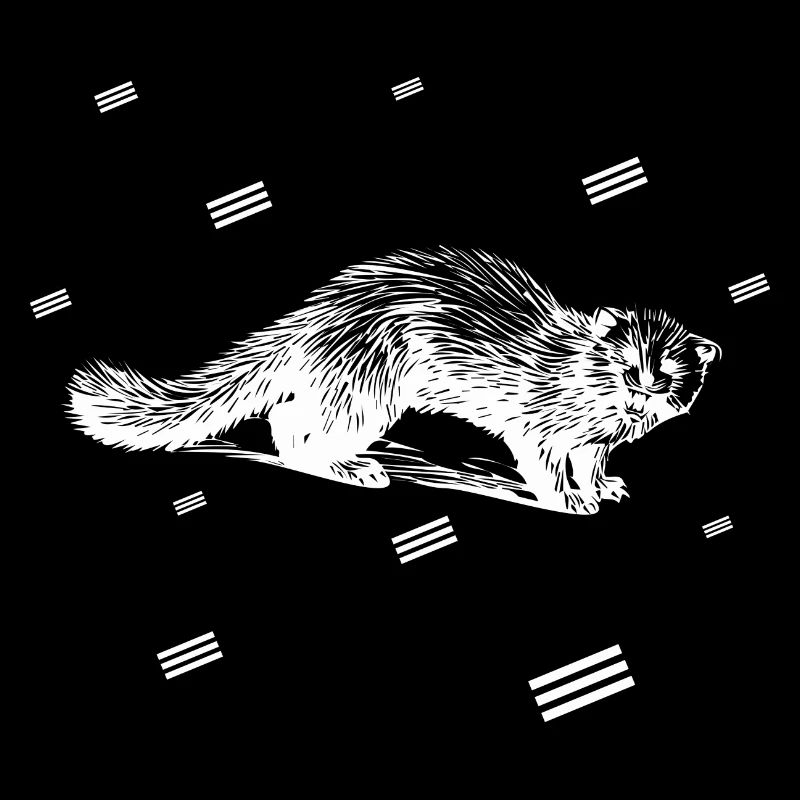 Rat - knaagdier
