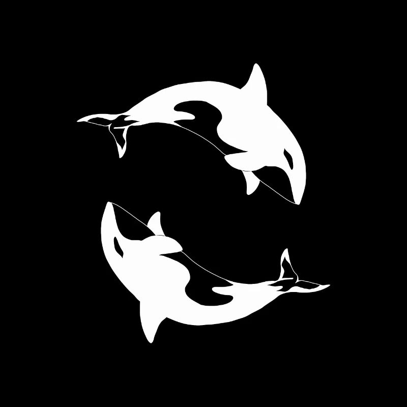 Schwertwal Orcinus orca