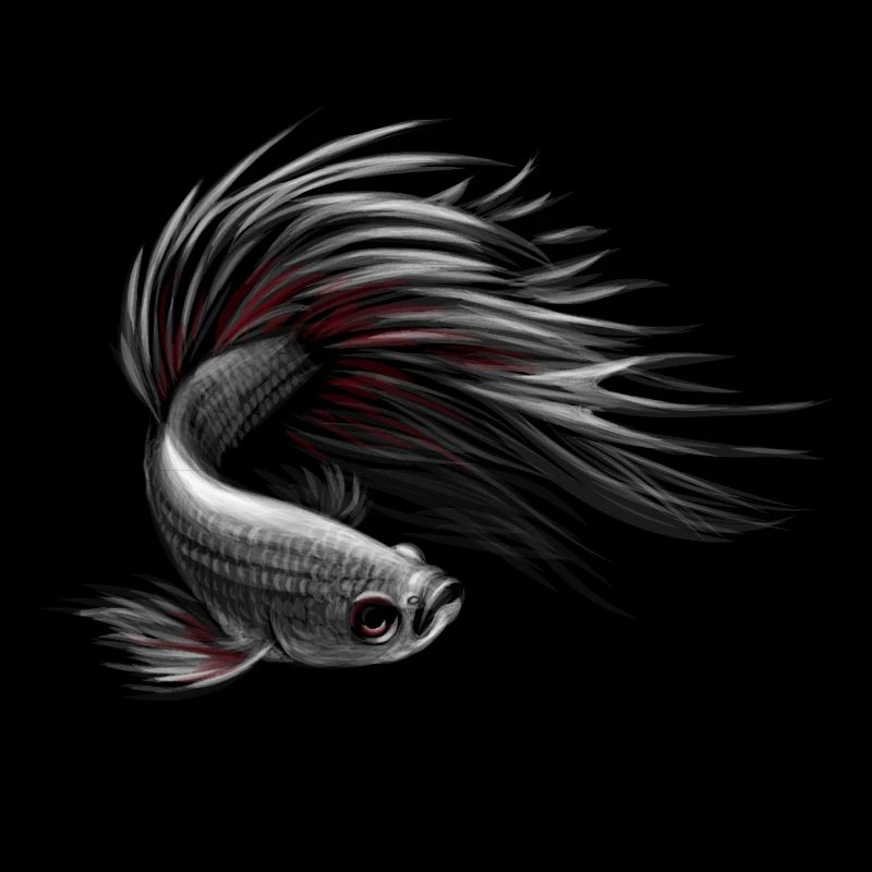 Poissons de combat de pêche en aquarium