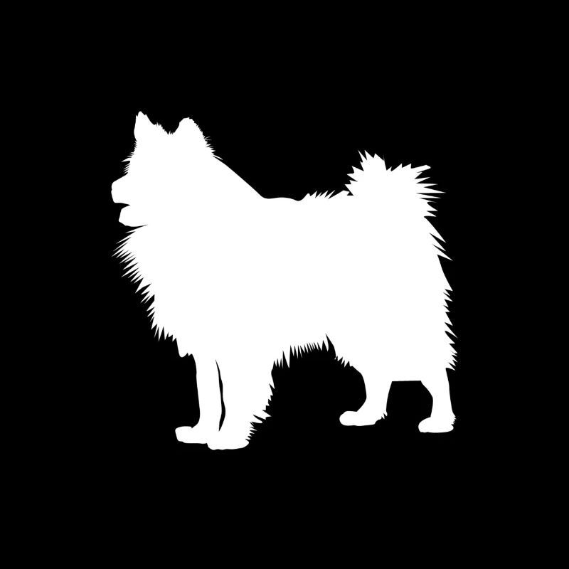 Wolfsspitz - Keeshond Hund