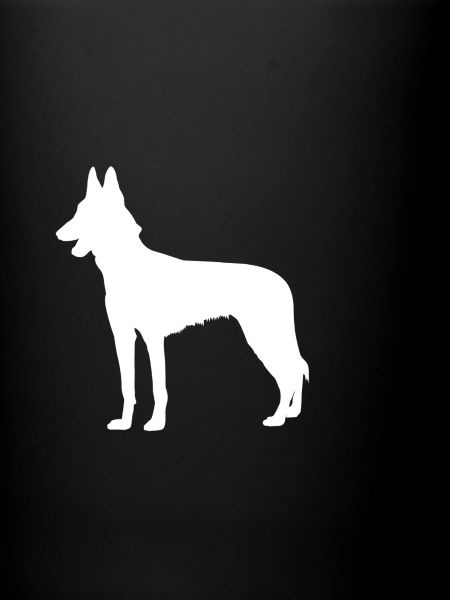 Malinois - Belgian Shepherd