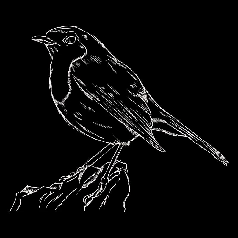 Das Rotkehlchen Singvogel Naturschutz