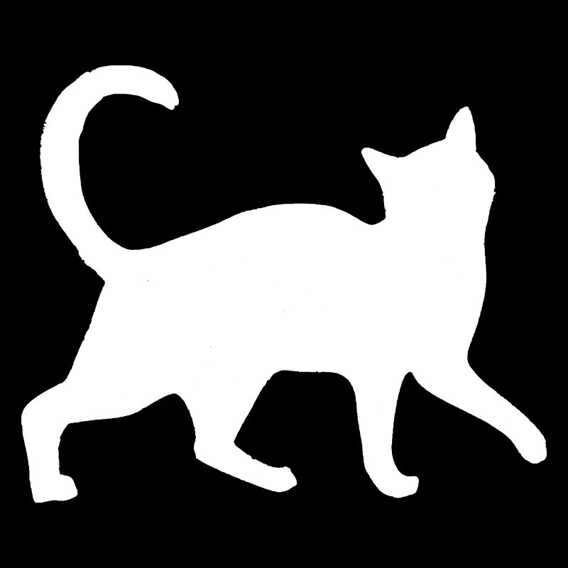 Weiße Katze