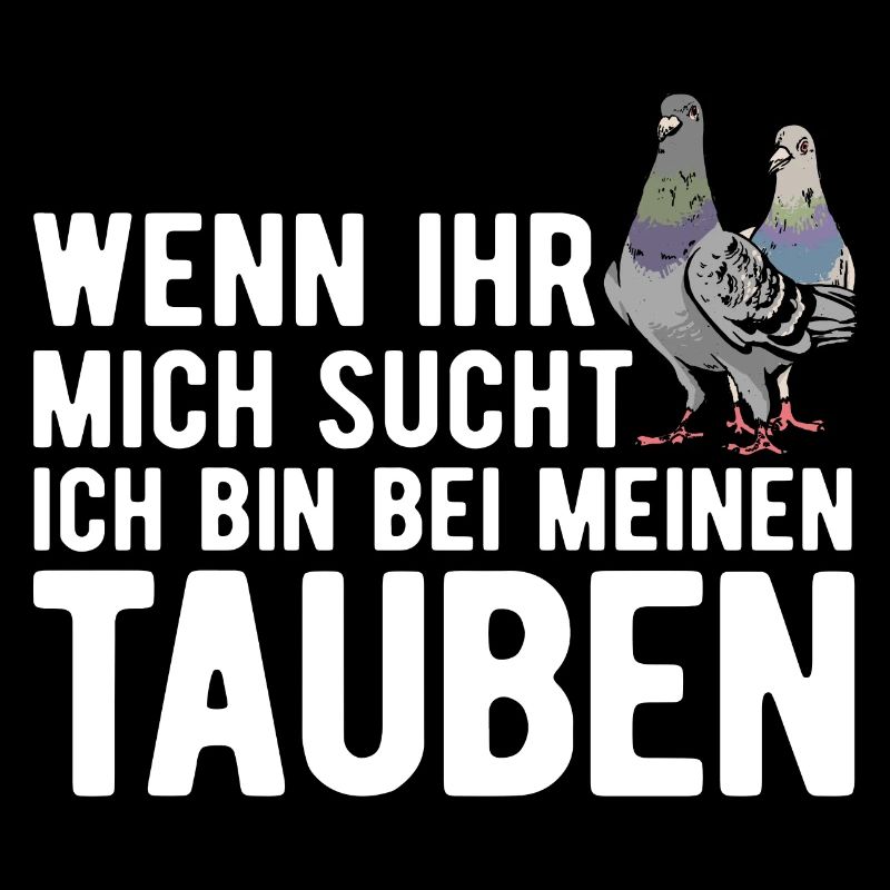 Taube Tauben Vogel